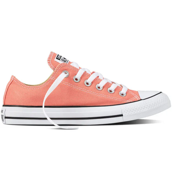 CONVERSE Chuck Taylor All Star 36